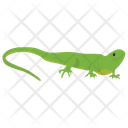 پیش‌نمایش فایل lizard-11 از پک خزندگان و دوزیستان خانگی