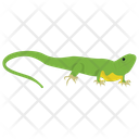 پیش‌نمایش فایل lizard-12 از پک خزندگان و دوزیستان خانگی
