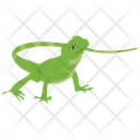 پیش‌نمایش فایل lizard-9 از پک خزندگان و دوزیستان خانگی