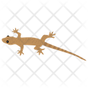پیش‌نمایش فایل mosasaurus-lizard از پک خزندگان و دوزیستان خانگی