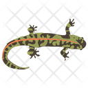 پیش‌نمایش فایل skink-2 از پک خزندگان و دوزیستان خانگی