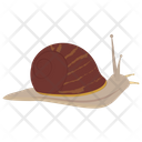 پیش‌نمایش فایل snail-77 از پک خزندگان و دوزیستان خانگی