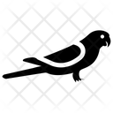 پیش‌نمایش فایل parrot-54 از پک لوازم حیوانات خانگی (توپر)