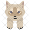 پیش‌نمایش فایل cat-501 از پک نقاشی صورت گربه