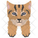 پیش‌نمایش فایل cat-504 از پک نقاشی صورت گربه