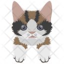 پیش‌نمایش فایل cat-512 از پک نقاشی صورت گربه