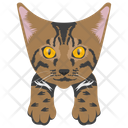 پیش‌نمایش فایل cat-534 از پک نقاشی صورت گربه