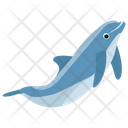 پیش‌نمایش فایل dolphin-145 از پک دلفین در حال پرش