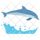 پیش‌نمایش فایل dolphin-150 از پک دلفین در حال پرش