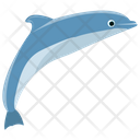 پیش‌نمایش فایل dolphin-151 از پک دلفین در حال پرش