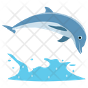 پیش‌نمایش فایل dolphin-152 از پک دلفین در حال پرش