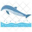 پیش‌نمایش فایل dolphin-153 از پک دلفین در حال پرش