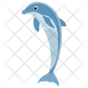 پیش‌نمایش فایل dolphin-154 از پک دلفین در حال پرش