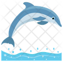 پیش‌نمایش فایل dolphin-155 از پک دلفین در حال پرش