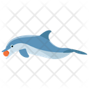 پیش‌نمایش فایل dolphin-156 از پک دلفین در حال پرش