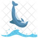 پیش‌نمایش فایل dolphin-157 از پک دلفین در حال پرش