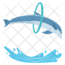پیش‌نمایش فایل dolphin-158 از پک دلفین در حال پرش