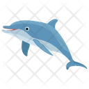 پیش‌نمایش فایل dolphin-166 از پک دلفین در حال پرش