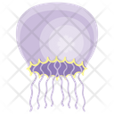 پیش‌نمایش فایل jellyfish-100 از پک عروس دریایی (مسطح)