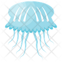 پیش‌نمایش فایل jellyfish-113 از پک عروس دریایی (مسطح)