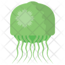پیش‌نمایش فایل jellyfish-87 از پک عروس دریایی (مسطح)