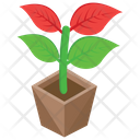 پیش‌نمایش فایل flower-1589 از پک طبیعت (ایزومتریک)