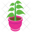 پیش‌نمایش فایل pot-plant-2 از پک طبیعت (ایزومتریک)