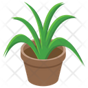 پیش‌نمایش فایل pot-plant-3 از پک طبیعت (ایزومتریک)