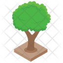 پیش‌نمایش فایل tree-1342 از پک طبیعت (ایزومتریک)