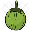 پیش‌نمایش فایل ash-gourd-1 از پک غذا