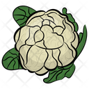 پیش‌نمایش فایل cauliflower-64 از پک غذا