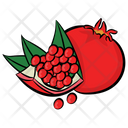 پیش‌نمایش فایل pomegranate-109 از پک غذا