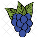 پیش‌نمایش فایل grapes-274 از پک غذا