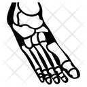 پیش‌نمایش فایل foot-bone-6 از پک ارتوپدی و ستون فقرات
