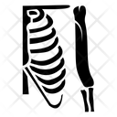 پیش‌نمایش فایل rib-cage-3 از پک ارتوپدی و ستون فقرات