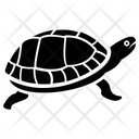 پیش‌نمایش فایل turtle-121 از پک جزیره