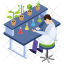 پیش‌نمایش فایل botany-experiment-13 از پک آزمایشگاه علمی