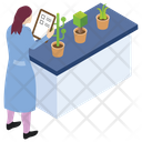 پیش‌نمایش فایل botany-experiment-15 از پک آزمایشگاه علمی