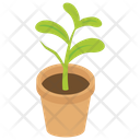 پیش‌نمایش فایل pot-plant-8 از پک زندگی شهری و نمای شهر