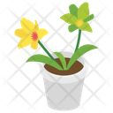 پیش‌نمایش فایل pot-plant-9 از پک زندگی شهری و نمای شهر