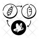 پیش‌نمایش فایل butterfly-lifecycle-10498393 از پک زیست‌شناسی پویانمایی