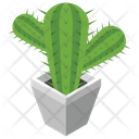 پیش‌نمایش فایل cactus-plant-18 از پک هتل