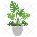 پیش‌نمایش فایل decorative-plant-1 از پک هتل