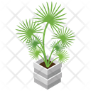 پیش‌نمایش فایل decorative-plant-2 از پک هتل