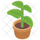 پیش‌نمایش فایل decorative-plant از پک هتل