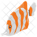 پیش‌نمایش فایل fish-1417344 از پک تجهیزات غواصی و اسنورکلینگ زیر آب