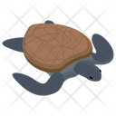 پیش‌نمایش فایل sea-turtle-1417340 از پک تجهیزات غواصی و اسنورکلینگ زیر آب
