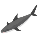 پیش‌نمایش فایل whale-1417364 از پک تجهیزات غواصی و اسنورکلینگ زیر آب