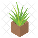 پیش‌نمایش فایل potted-plant-1414668 از پک وب