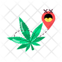 پیش‌نمایش فایل cannabis-location-11467253 از پک علف هرز (ماریجوانا)